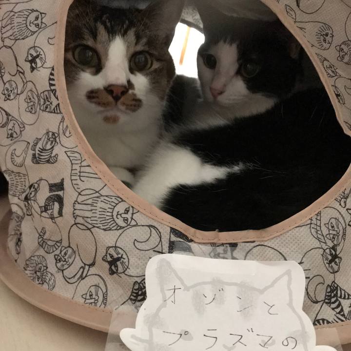 Bf2653fa d902 457f 872b 83ac0b131770 1564540211745