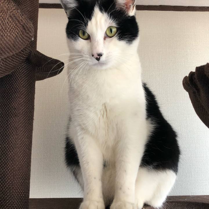 Bf2666ba 6a00 4bad a966 d195f54227ad 1548221503830