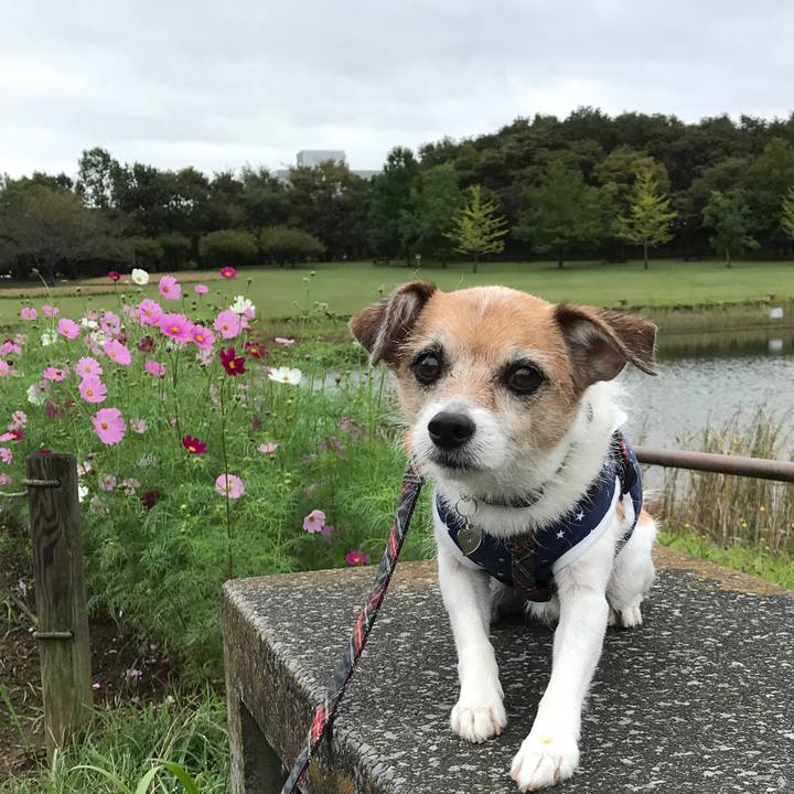 Bf26790e 0b61 4cdc 86bb e7374659233c 1602389706343