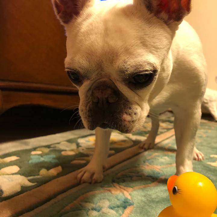 Bf267d26 a488 48ef ae89 5af259ab1262 1655984648777