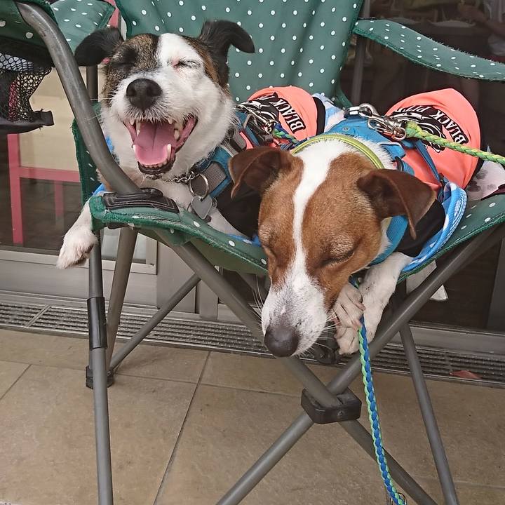 Bf271746 0d94 4ae5 ba7b 609c00a3ae75 1589524542087