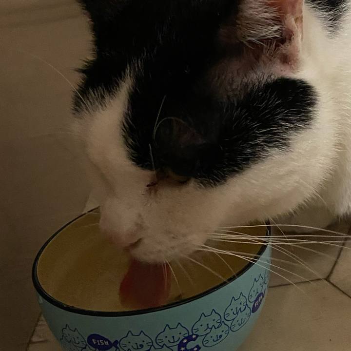 Bf271b86 c4b8 4f8d 9306 6af7c4543c56 1597750248005