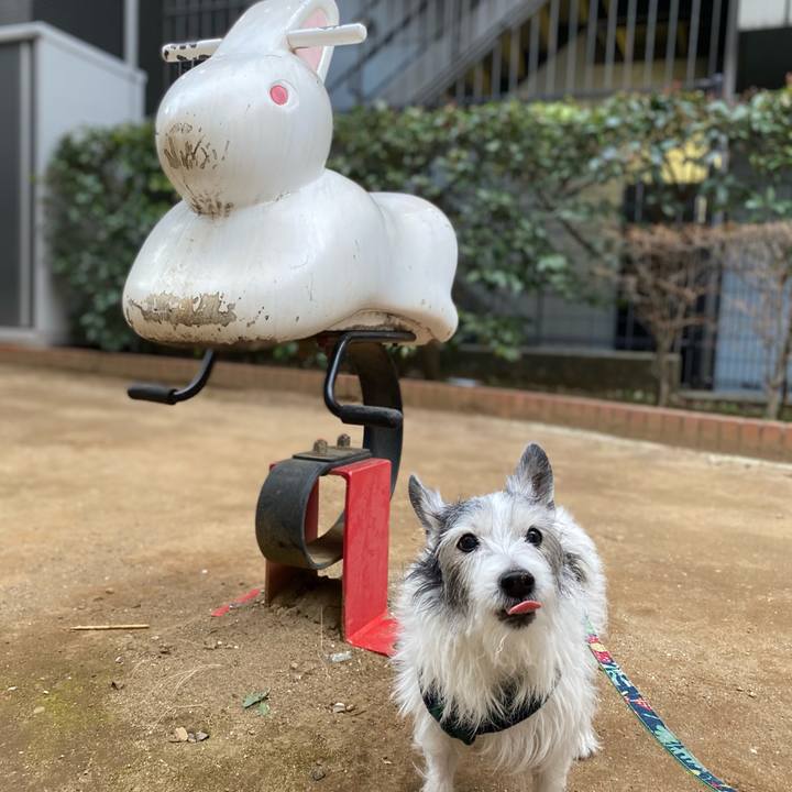 Bf2729c2 47fb 4e31 998c adf067b6e543 1613817411114