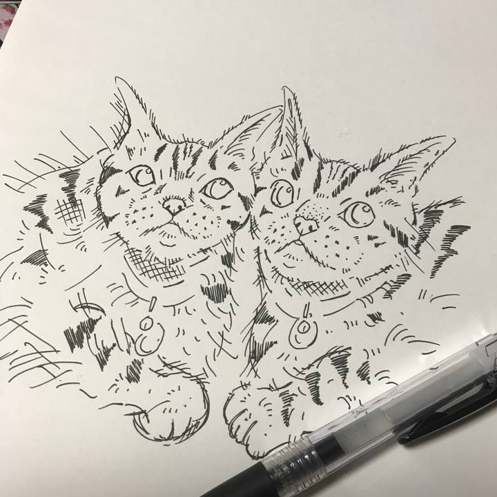 Bf2730c6 5f0c 476e abfd aba493ae1ade 1646090283301