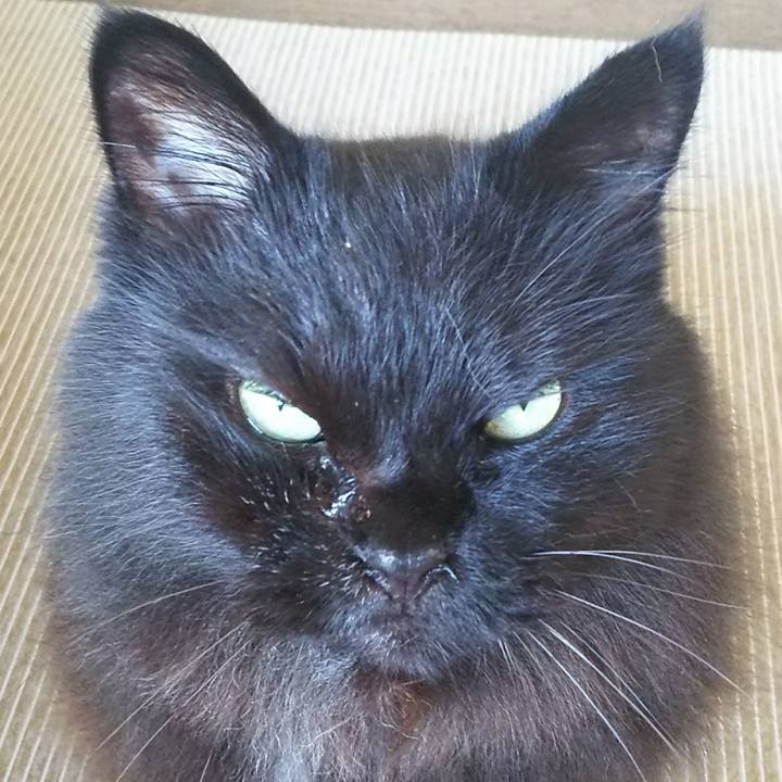 Bf2750c2 365f 49da 9eb4 ef855d33c843 1536020465148