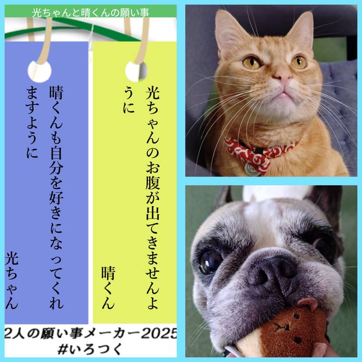 Bf275ff1 877b 43e0 9bcd f94457bc99d7 1751964633431