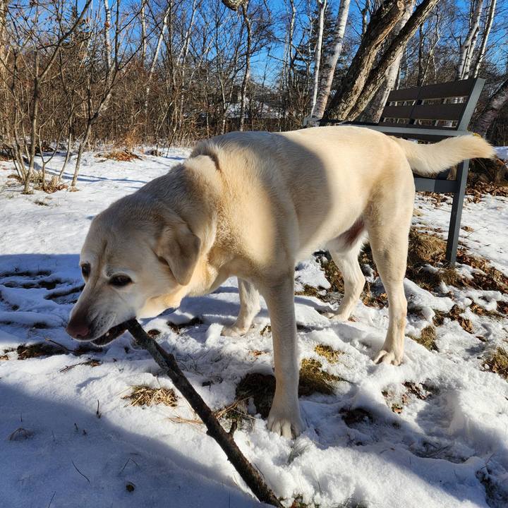 Bf277e58 84ca 4994 b915 9d4b55d034a0 1766897139603