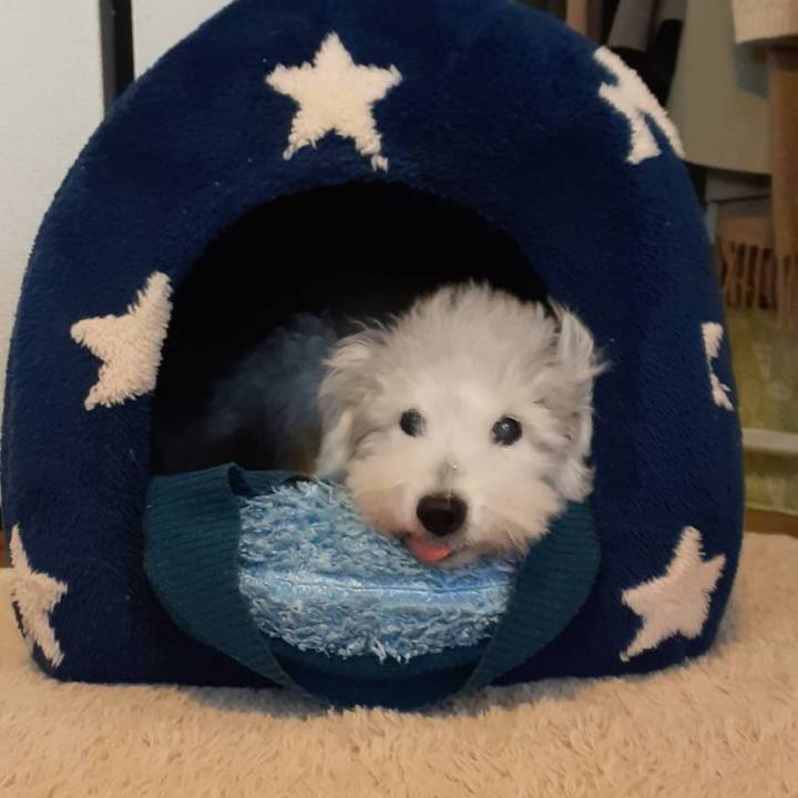 Bf27b838 d130 434b ac1e f3620d6c00a9 1637283892115