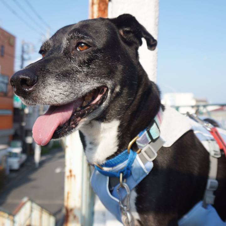 Bf27b958 abaf 4589 9339 81ced6e45636 1755995423780