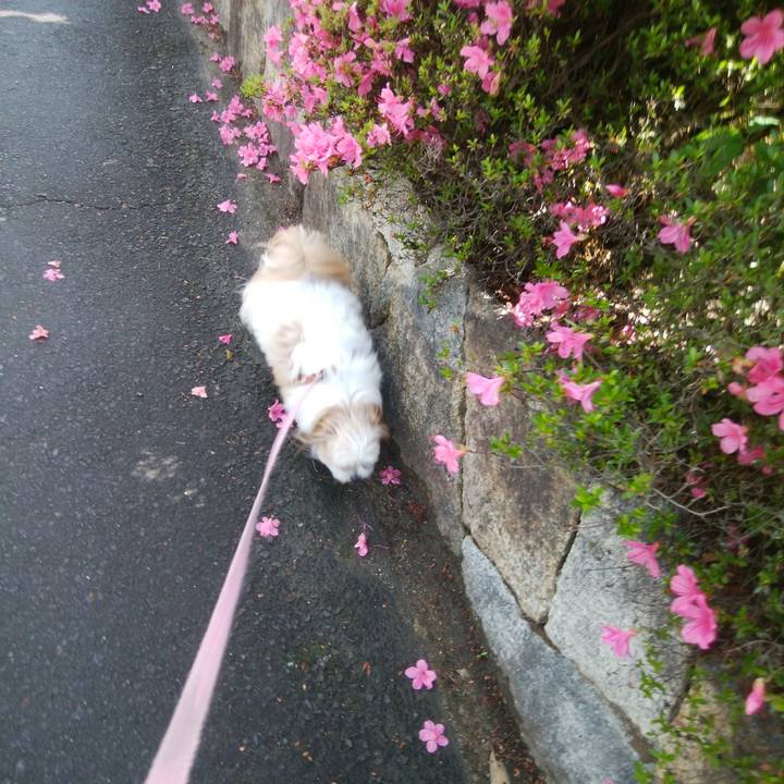 Bf27c85f edfa 444e 9000 d2b7b9616ea1 1528330687213