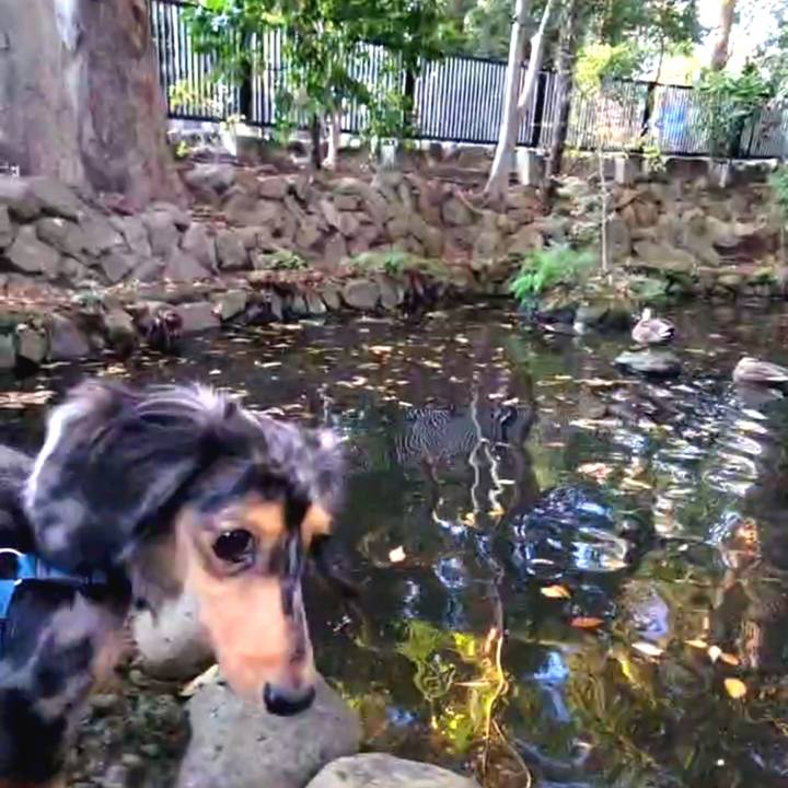 Bf27c8ad 3e53 46b3 8c17 16b6138b495c 1733301287431