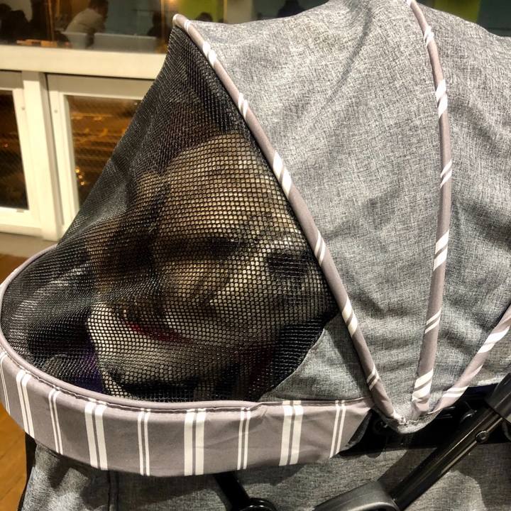 Bf27f7a7 9477 407a 88b8 0f5af4cb029e 1575977191880