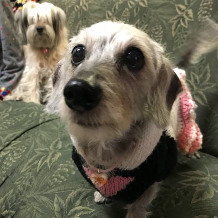 Bf28027e 7255 462f 852e 3fe2289062c3 1515573333482