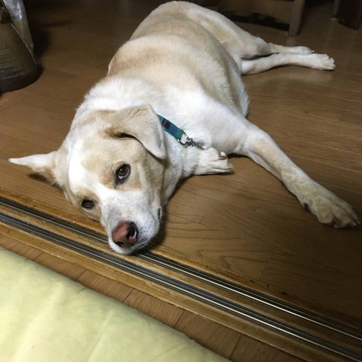 Bf282eff 380e 4c51 99a6 a76f3a2e8e45 1534425715575