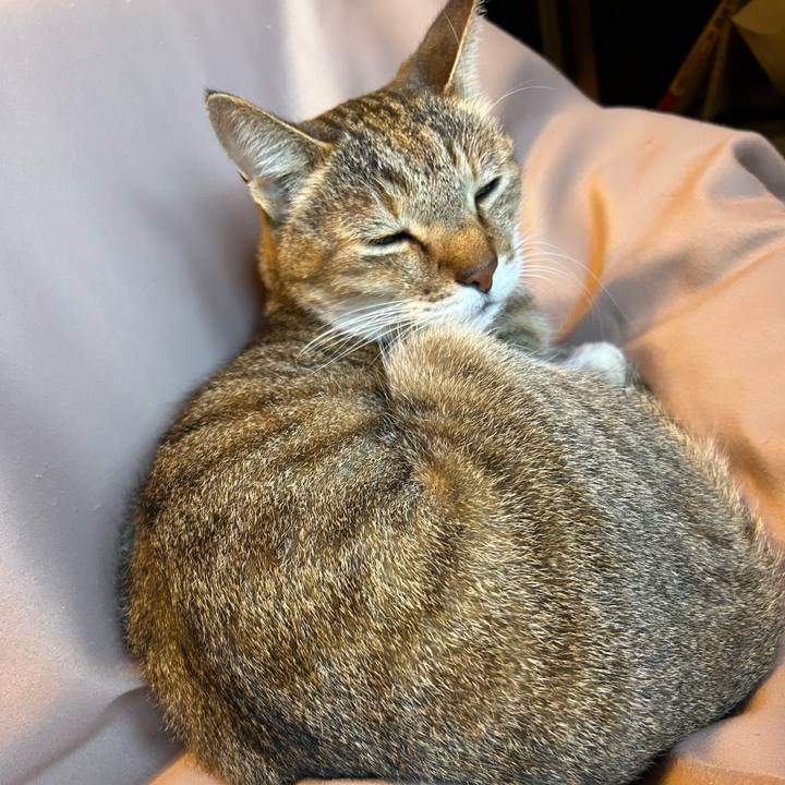 Bf284407 4b49 4f78 86a3 93c38d269bb6 1731970268708