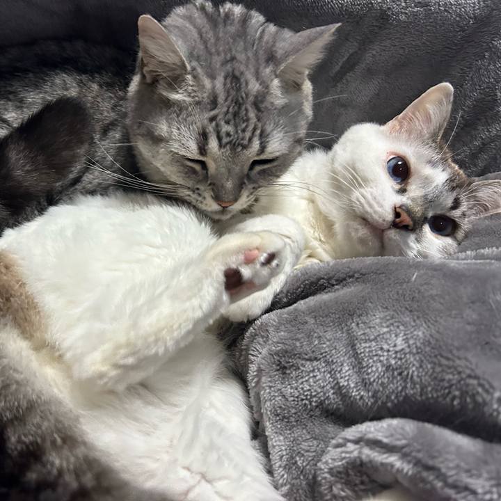 Bf285b65 c882 4189 8a50 8066154da425 1685012597374