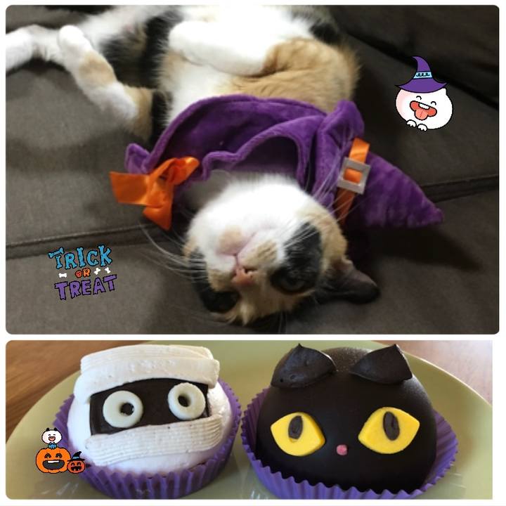 Bf28a21a 180c 45e1 b3d0 adb6e7741918 1540991090261