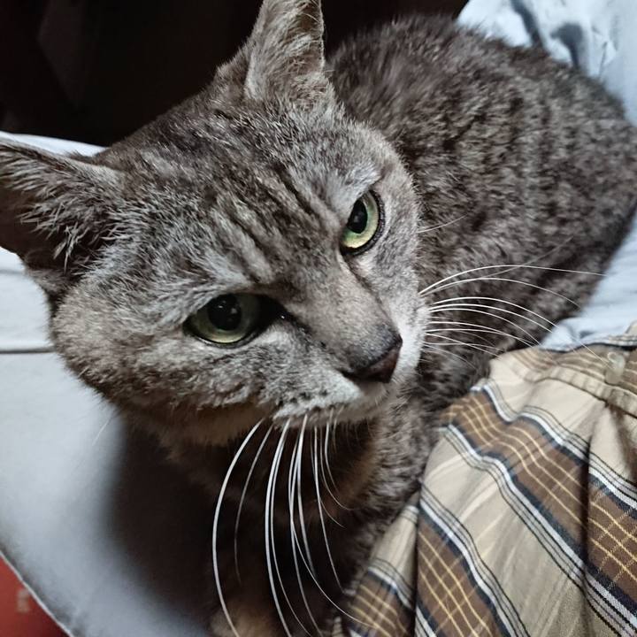 Bf28b97f 4032 4637 b57f c23b28af4210 1592078576343