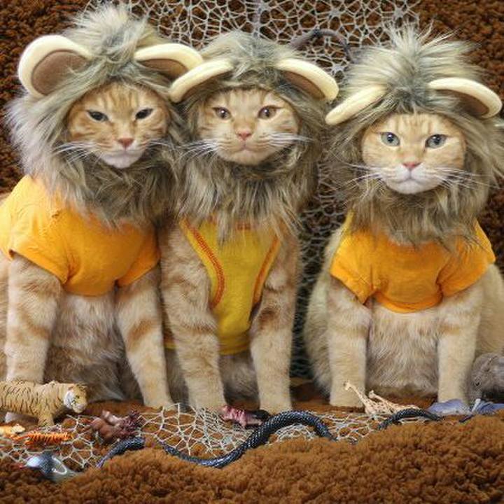 Bf28cbb1 8d13 4b7b 9cc5 457c89ea86ae 1566201424306