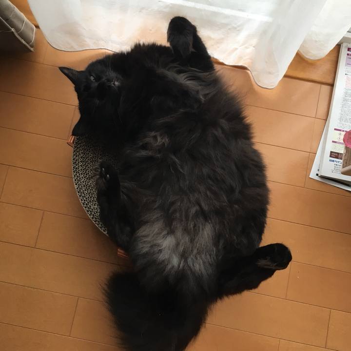 Bf29234e 52c5 443e 8923 88c8458131f1 1531446968624