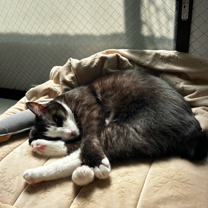 Bf294009 2cea 4088 bc94 8a2d42ed3e41 1710389145318