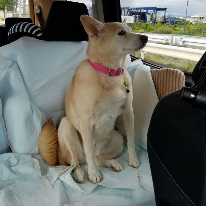 Bf29710e 25f3 45e2 a6f5 251511a0565f 1571541832562