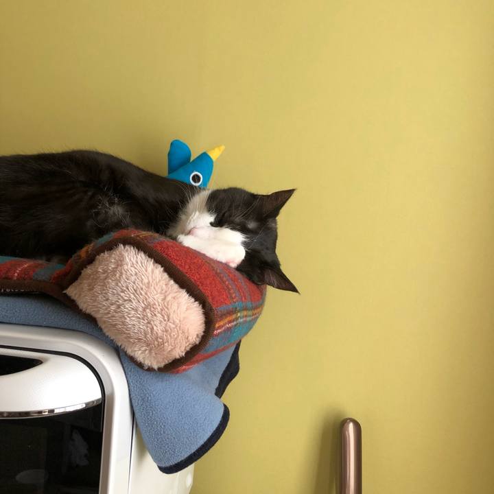 Bf297620 6c1b 4980 8b2c f2b87bb2ac73 1586828350020