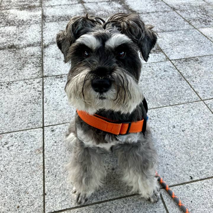 Bf297bdc b350 4b5f 9e3e 43998fed0a26 1729201060894