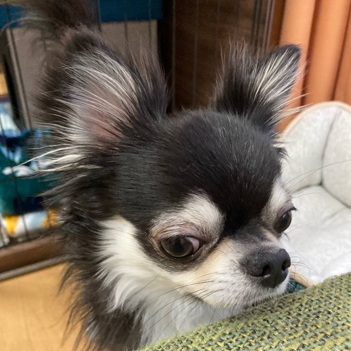 Bf2990b0 c175 4103 8069 c6e529d3ccd3 1679807426458