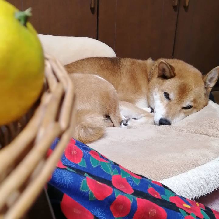 Bf29b459 b941 4e0b bd1b ef13e4608aa2 1604309154340