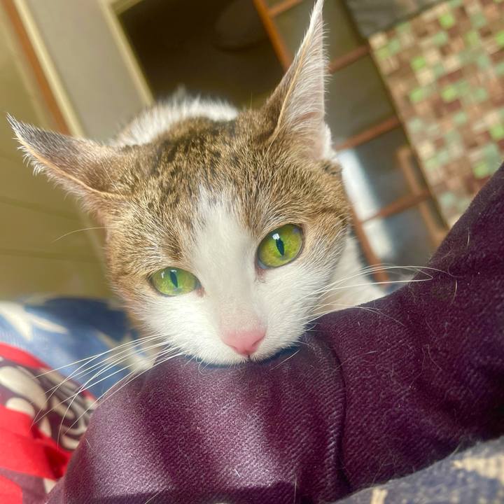 Bf29ce86 4d76 4a03 ab0b bb9d6bb6e295 1638492285771