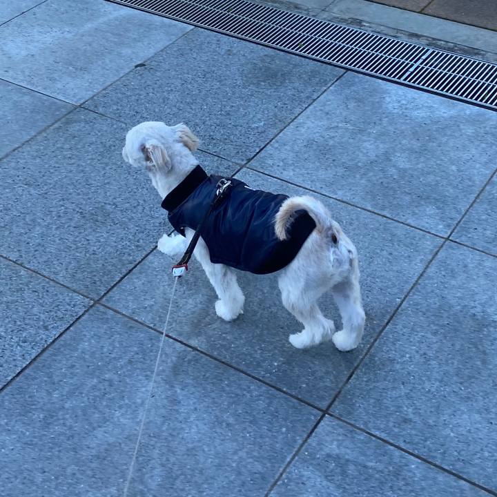 Bf2a0171 8f25 40ad 9032 0d919cc8fdf4 1575508211389