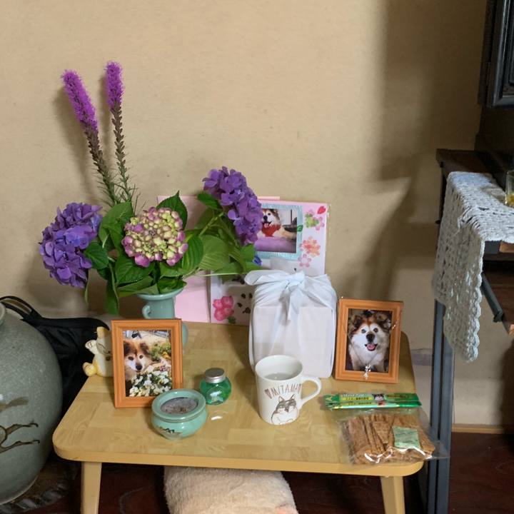 Bf2a59d6 0f64 4eb3 ae62 247cbcb522ff 1562487569571