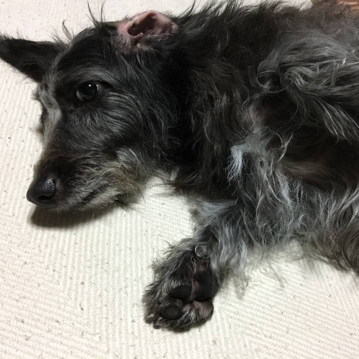 Bf2a5b1f 62a2 4636 a300 cc5c192f6460 1539210521510