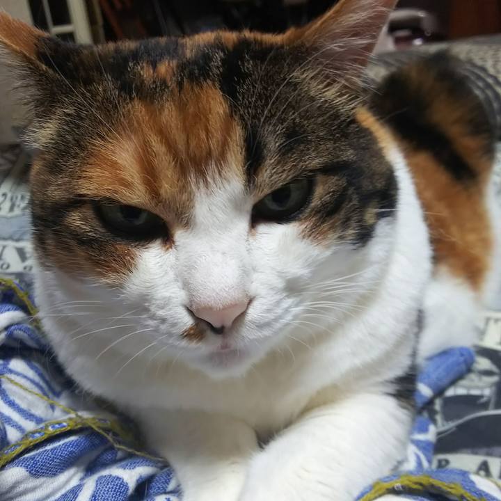 Bf2a5ecf faac 4ed6 ad6b f0ad416485f0 1567461385869