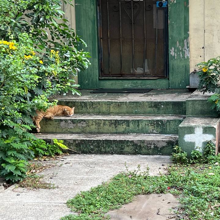 Bf2b1069 3b80 43e6 b3ec ce3b35ce2ee4 1734652646320