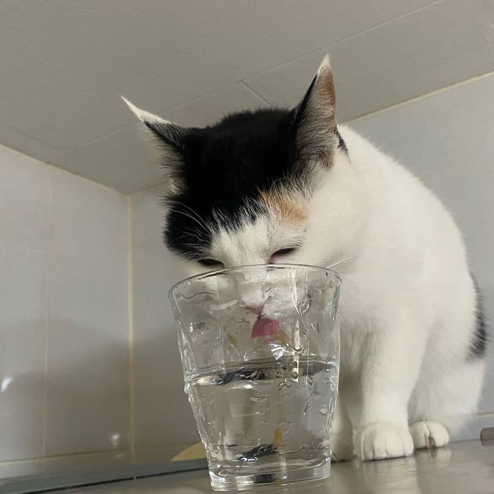 Bf2b1740 5e10 4202 852b e5bb0bfa3844 1645620208671