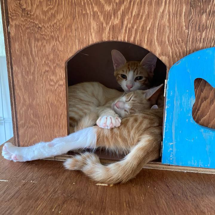 Bf2b5e26 b73f 410c a217 30ea575b876f 1729222574826