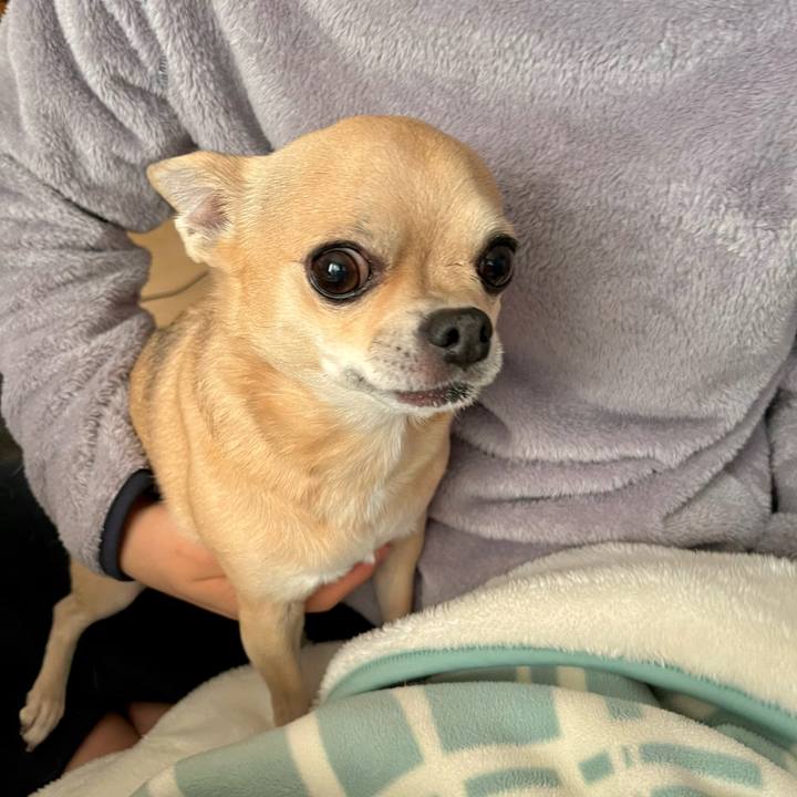 Bf2b9ae7 c81c 43d6 81a4 564b06a5f7f1 1668816294809