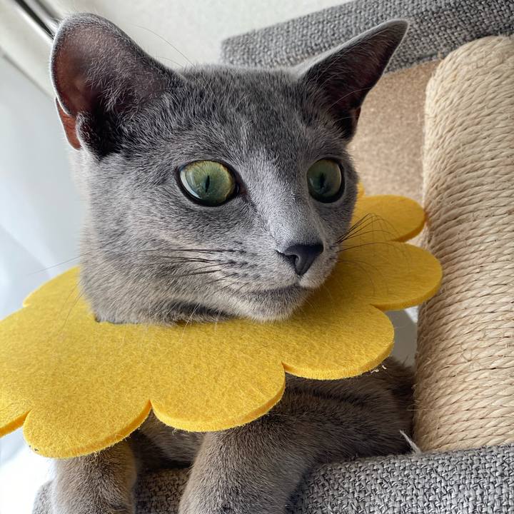 Bf2ba041 974a 41e7 8a59 368cf870f5b2 1609750308460