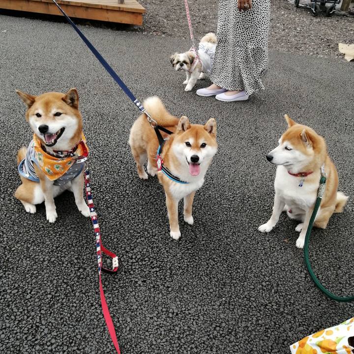 Bf2bc0db 7373 4925 8f0d feaaaeb5aa8a 1648355284680