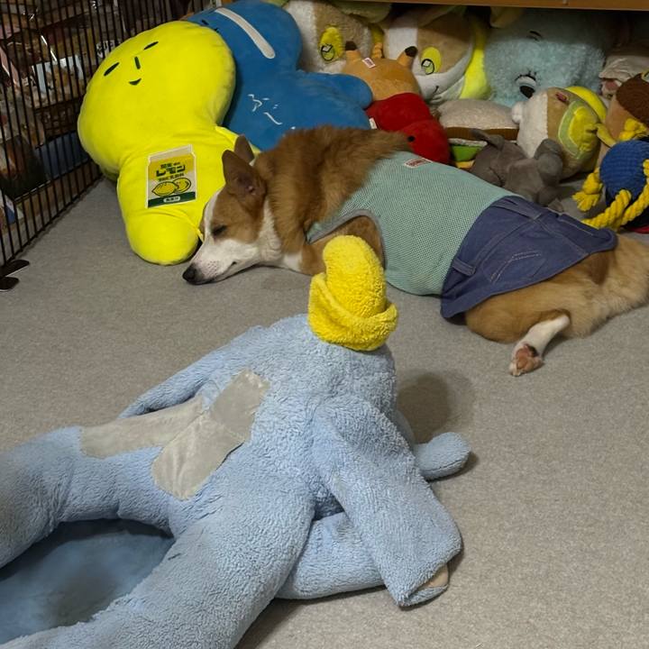 Bf2be16f 73c9 4e64 87e5 2e4de0f60cff 1758644358919