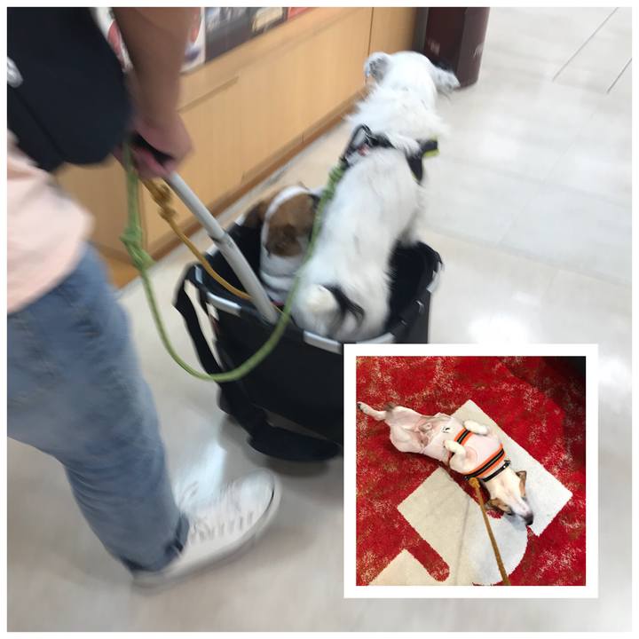 Bf2c27de 3df6 4984 a991 439b3d6495ea 1536391955698