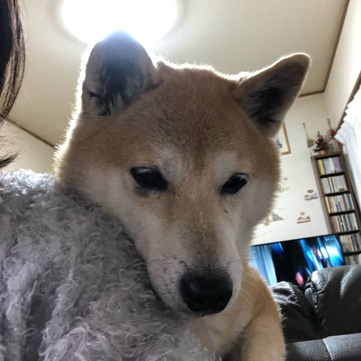 Bf2c55c5 7644 4833 8453 4bd20866a4d6 1607350357085