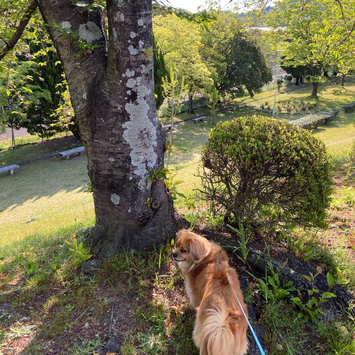 Bf2c562c ba9d 4e22 97b3 61156d4009a7 1588118812959