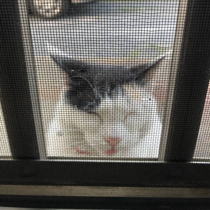 Bf2c667c 8af1 438d 8d83 8effb9b84f67 1617115251026