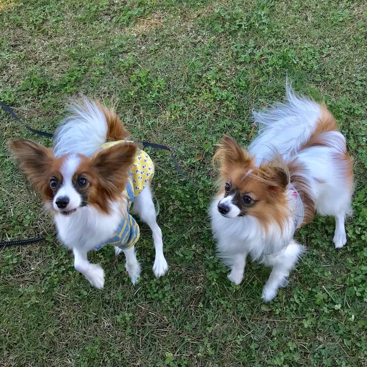 Bf2c67db 9b15 4512 83ab ff68e2c39654 1509702836155