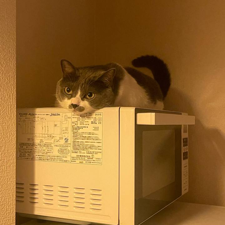 Bf2c8d0c d953 4636 b55e 5f530c29a98a 1722941235467