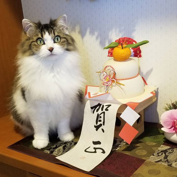 Bf2d6283 bfbb 4d52 a860 c009eeb9aff5 1577845883336