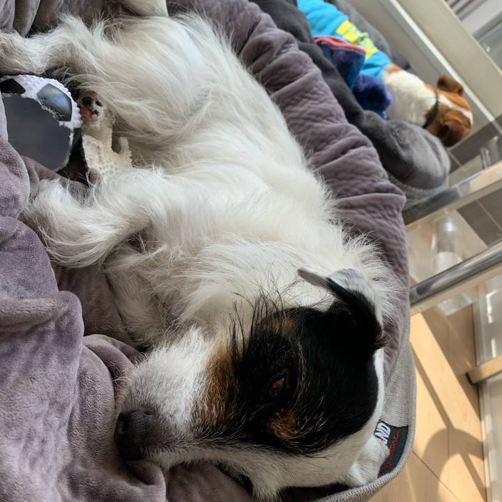 Bf2d6973 9a02 4965 88cd 1b755ecfbd59 1619328564193